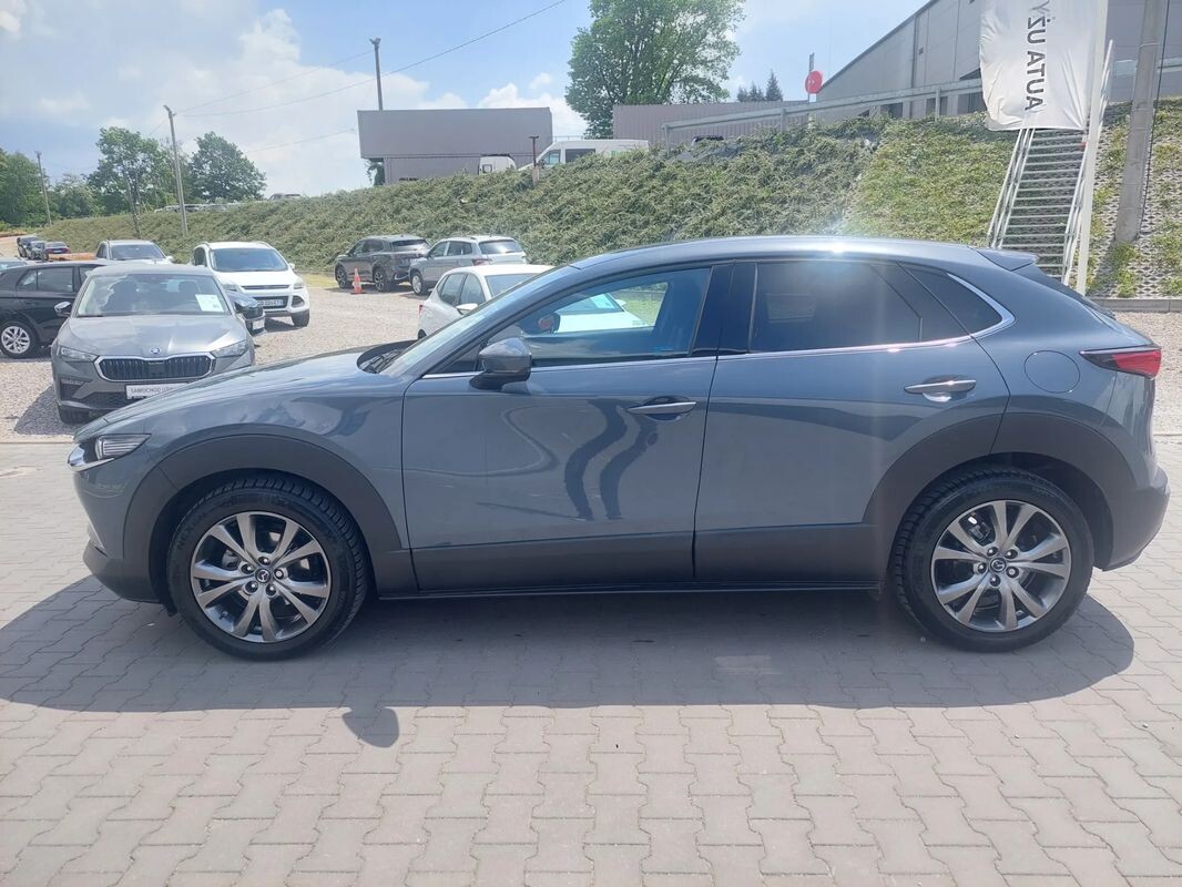 Główne zdjęcie