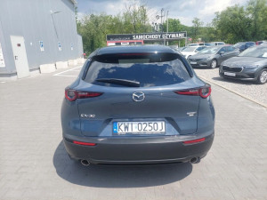 Miniaturka zdjęcia
